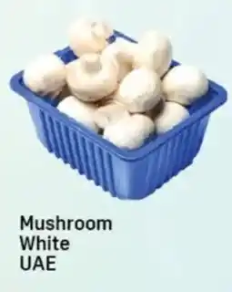 Day To Day Mushroom White UAE offer