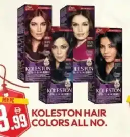 Dream Land Center Koleston hair colors all no offer