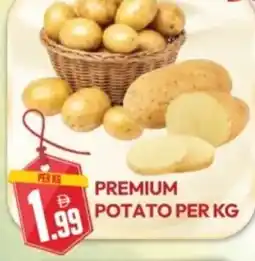 Dream Land Center Premium potato offer