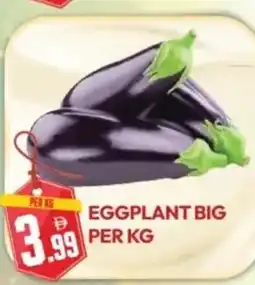 Dream Land Center Eggplant big offer
