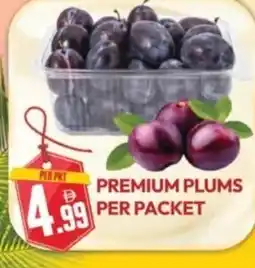 Dream Land Center Premium plums offer