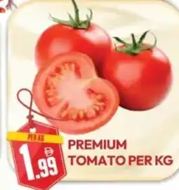 Dream Land Center Premium tomato offer