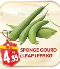 Dream Land Center Sponge gourd (leap) offer