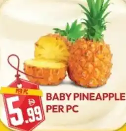 Dream Land Center Baby pineapple offer