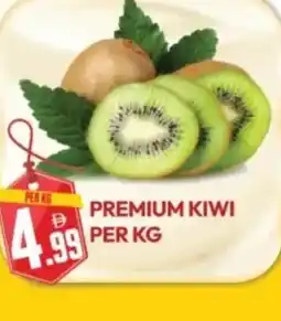 Dream Land Center Premium kiwi offer