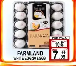 Gift Point White eggs offer