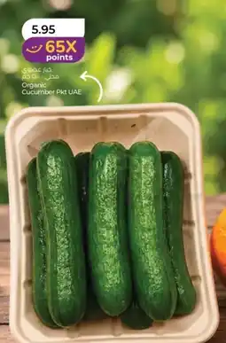Lulu Hypermarket Organic Cucumber Pkt UAE offer