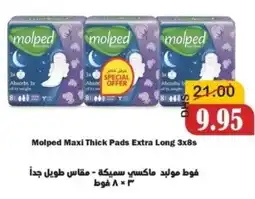 Al Mushrif Co-Operative Society Molped Maxi Thick Pads Extra Long offer