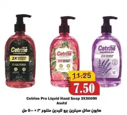 Al Mushrif Co-Operative Society Cetrine Pro Liquid Hand Soap Asstd offer