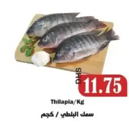 Al Mushrif Co-Operative Society Thilapia offer