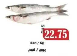 Al Mushrif Co-Operative Society Bori offer