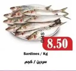Al Mushrif Co-Operative Society Sardines offer