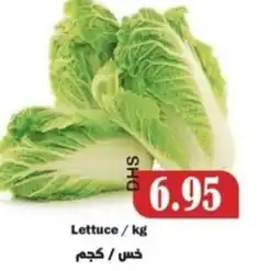 Al Mushrif Co-Operative Society Lettuce offer