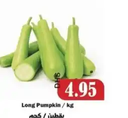 Al Mushrif Co-Operative Society Long Pumpkin offer