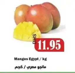 Al Mushrif Co-Operative Society Mangos Egypt offer