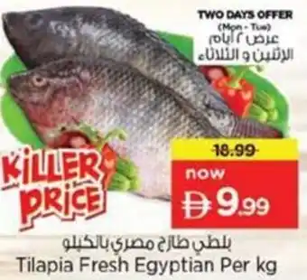 Nesto Tilapia Fresh Egyptian offer