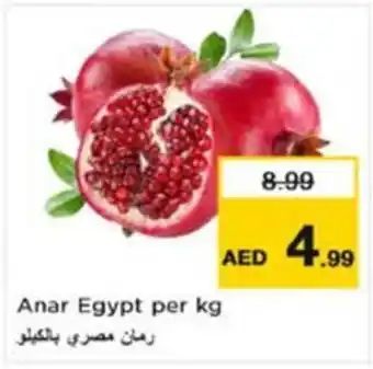 Nesto Anar Egypt offer