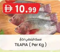 KM Trading Tilapia offer