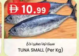 KM Trading Tuna small offer