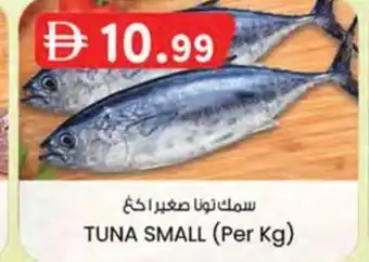 KM Trading Tuna small offer