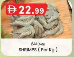 KM Trading Shrimps offer