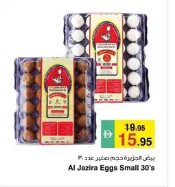 Safeer Market Al Jazira Eggs Small offer