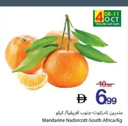 Ajman Market Mandarine Nadorcott-South Africa offer