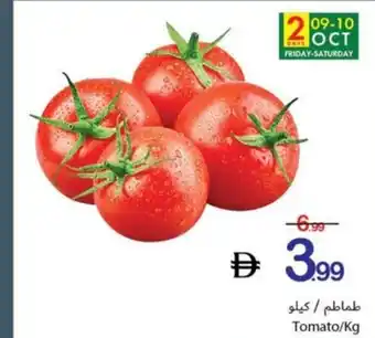 Tomato