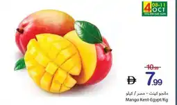 Ajman Market Mango Kent-Egypt offer
