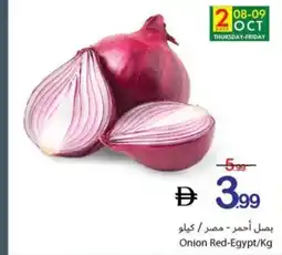 Ajman Market Onion Red-Egypt offer