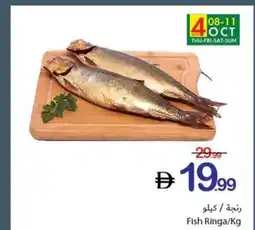 Ajman Market Fish Ringa offer