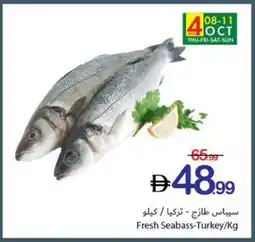 Ajman Market Fresh Seabass-Turkey offer