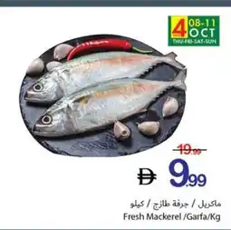 Ajman Market Fresh Mackerel /Garfa offer