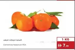 Istanbul Supermarket Clementine Nadorcott RSA offer