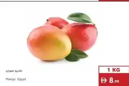 Istanbul Supermarket Mango Egypt offer