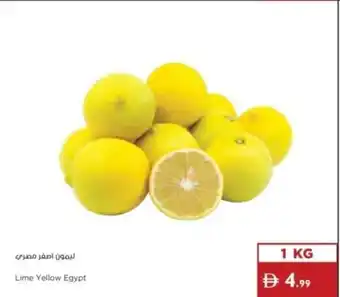 Lime Yellow Egypt