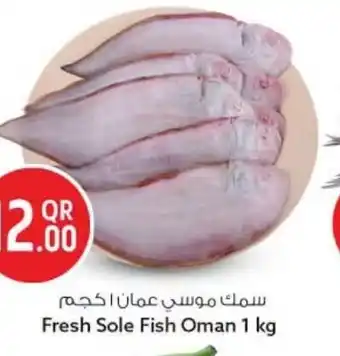 Fresh Sole Fish Oman