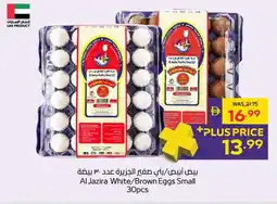 Abu Dhabi Coop Al Jazira White/Brown Eggs Small offer