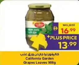 Abu Dhabi Coop California Garden Grapes Leaves offer