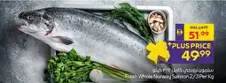 Abu Dhabi Coop Fresh Whole Norway Salmon offer