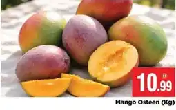 Bigmart Mango Osteen offer