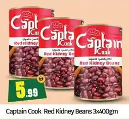 Bigmart Captain Cook Red Kidney Beans offer
