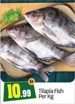 Bigmart Tilapia Fish offer
