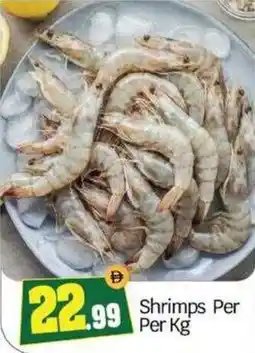 Bigmart Shrimps offer