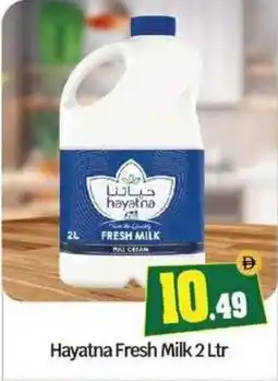 Bigmart Hayatna Fresh Milk offer