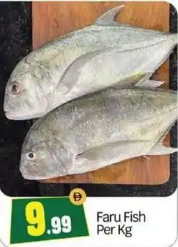 Bigmart Faru Fish offer
