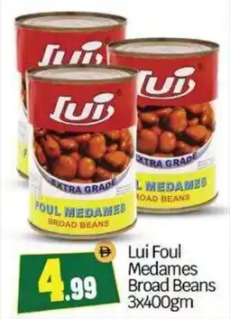 Bigmart Lui Foul Medames Broad Beans offer