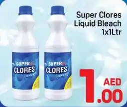 Day To Day Super Clores Liquid Bleach offer