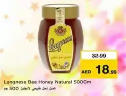 Nesto Langnese Bee Honey Natural offer