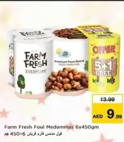 Nesto Farm Fresh Foul Medammas offer